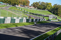 Middle Group Green Bikes